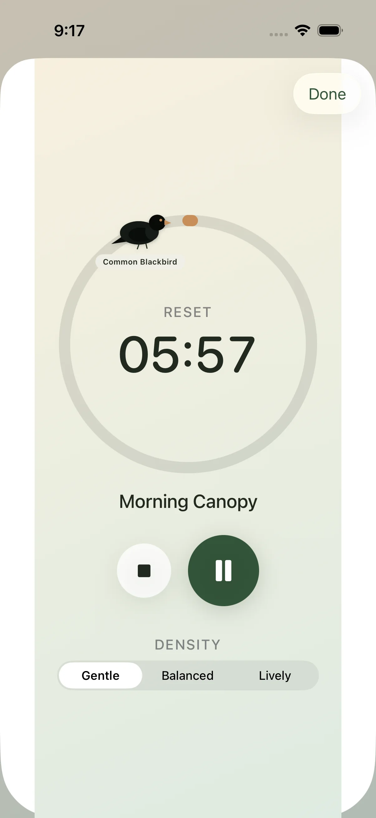 Canopy live player showing a six-minute reset